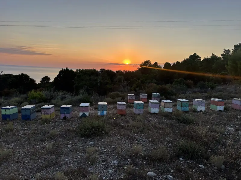 Κυψέλες με θέα τη θάλασσα στο ηλιοβασίλεμα